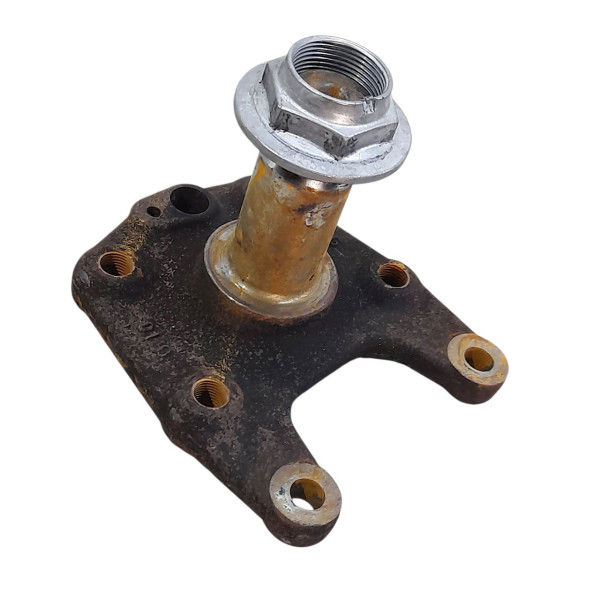 PONTA EIXO TRASEIRO ESQUERDO  CITROËN C4 PICASSO  2009 191975