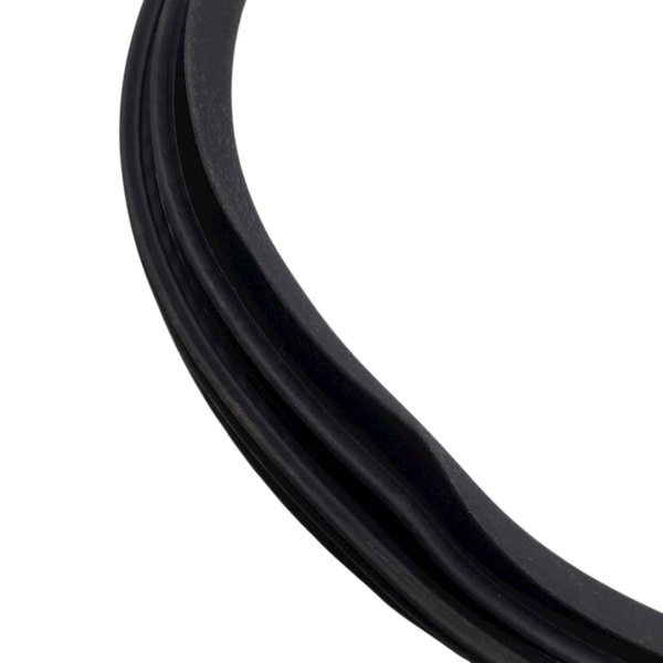 BORRACHA PORTA TRASEIRA ESQUERDA  CITROËN C4 PICASSO 2.0 2009 191791