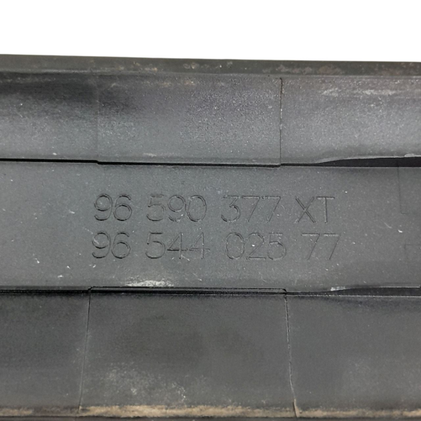 BORRACHÃO PORTA TRASEIRA DIREITA  CITROËN C4 PICASSO 2.0 2009 192048