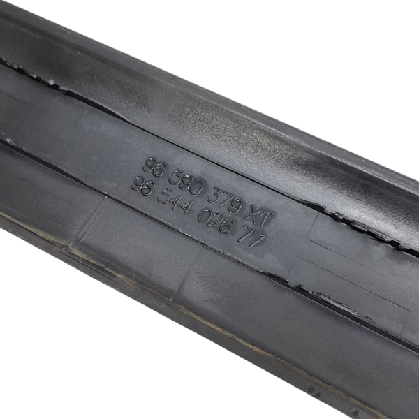 BORRACHÃO PORTA TRASEIRA ESQUERDA  CITROËN C4 PICASSO 2.0 2009 191907