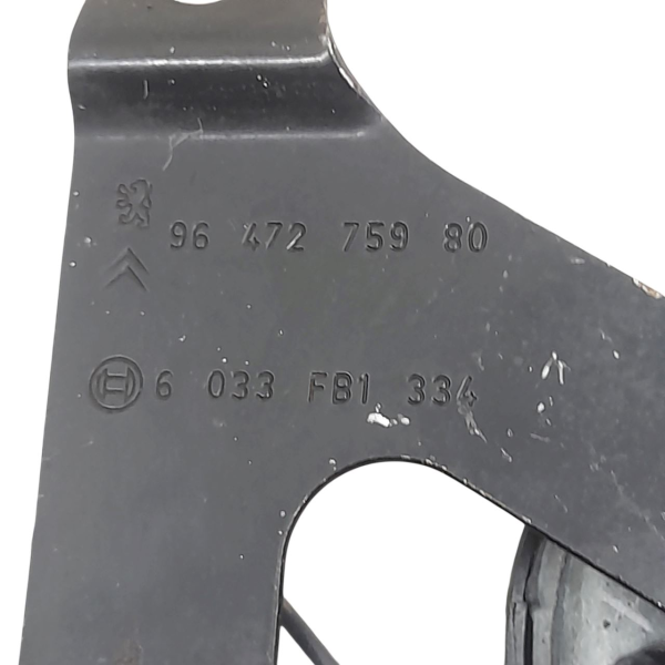 BUZINA  CITROËN C4 PICASSO 2.0 2009 192117