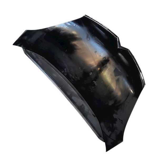 CAPÔ CITROËN C4 PICASSO 2.0 2009 V1712 - P7