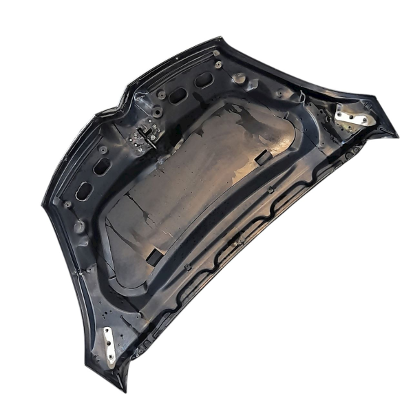 CAPÔ CITROËN C4 PICASSO 2.0 2009 V1712 - P7