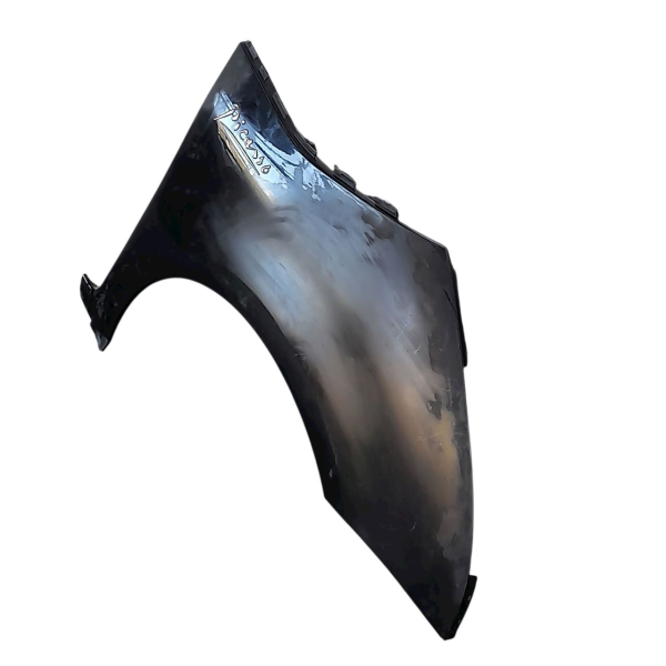 PARA-LAMA DIREITO CITROËN C4 PICASSO 2.0 2009 V1712 - P30