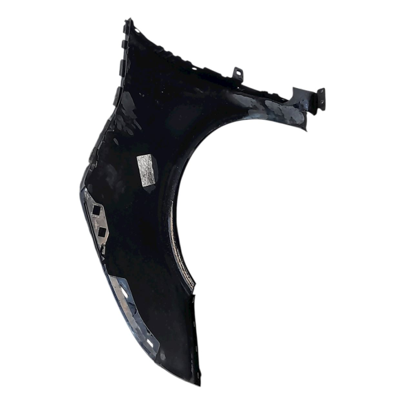 PARA-LAMA DIREITO CITROËN C4 PICASSO 2.0 2009 V1712 - P30