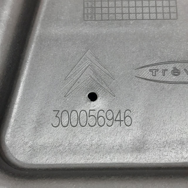 SUPORTE MÓDULO MOTOR FREIO ESTACIONAMENTO  CITROËN C4 PICASSO 2.0 2009 191830