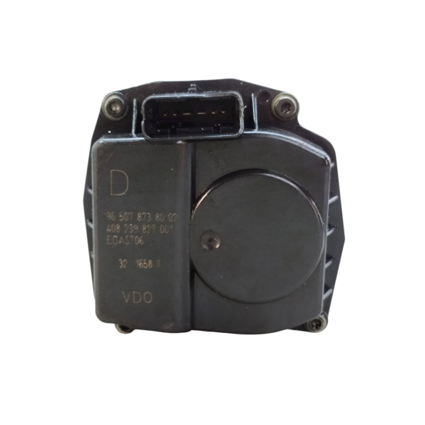 TBI CORPO BORBOLETA  CITROËN C4 PICASSO 2.0 2009 191784