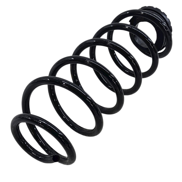 MOLA TRASEIRA  FIAT LINEA DUAL 1.8 16V 2011 193386