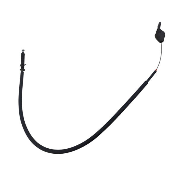 CABO ACELERADOR  RENAULT SCENIC 1.6 16V 2010 194476