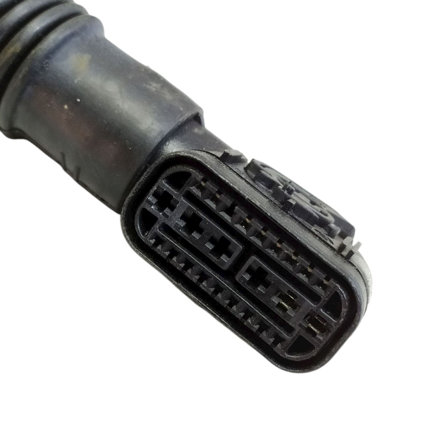 CHICOTE ELÉTRICO PORTA TRASEIRA DIREITA  MERCEDES-BENZ C 200K 1.8 2009 195582