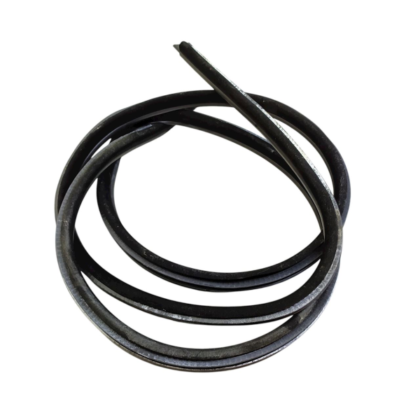 BORRACHA PORTA DIANTEIRA DIREITA  BMW 550I 4.8  2009 196413