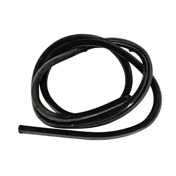 BORRACHA PORTA DIANTEIRA ESQUERDA  BMW 550I 4.8  2009 196415