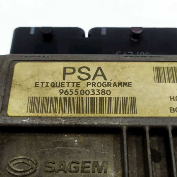 MÓDULO DE INJEÇÃO ELETRÔNICA PEUGEOT 206 1.4 2005 V1345 - P24