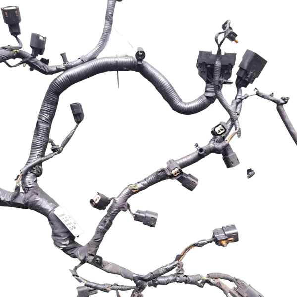 CHICOTE INJEÇÃO ELETRÔNICA  FORD EDGE 3.5 2011 197761