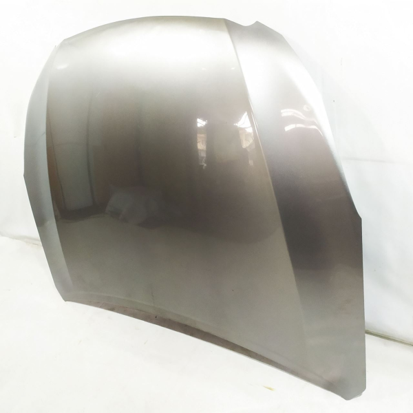 CAPÔ I LEGACY 2.0  2011 V1451 - P7