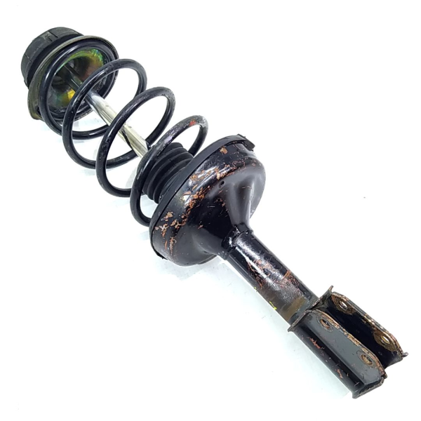 AMORTECEDOR DIANTEIRO RENAULT CLIO 2002    119454