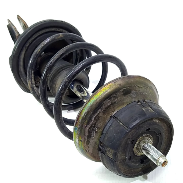 AMORTECEDOR DIANTEIRO RENAULT CLIO 2002    119454