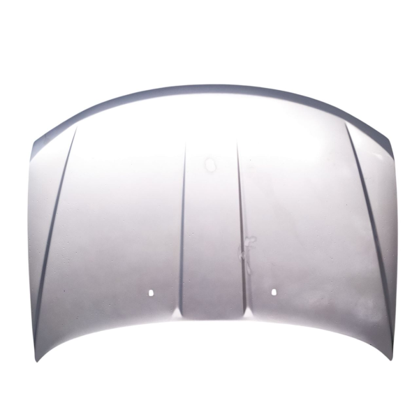 CAPÔ DODGE JOURNEY R/T 2012 V1790 - P7