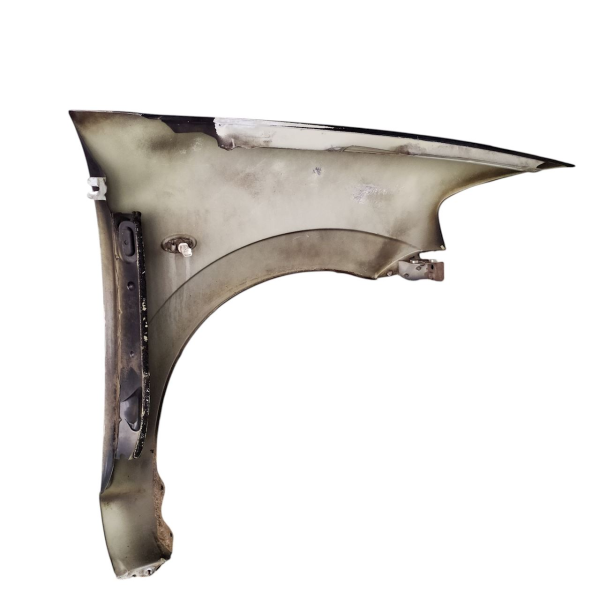 PARA-LAMA ESQUERDO CITROËN C3 1.4 GLX 2006 V1769 - P31