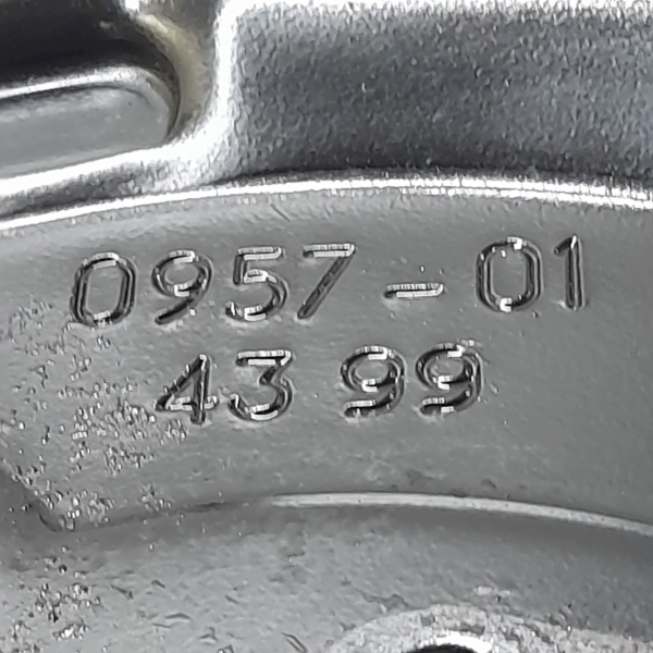 ESPELHO SAPATA FREIO TRASEIRO ESQUERDO  RENAULT SCENIC 2.0 2001 204836