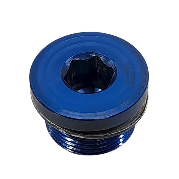 PARAFUSO BUJÃO DIREITO BLOCO MOTOR  PORSCHE CAYENNE S 4.8 T 2011 190912