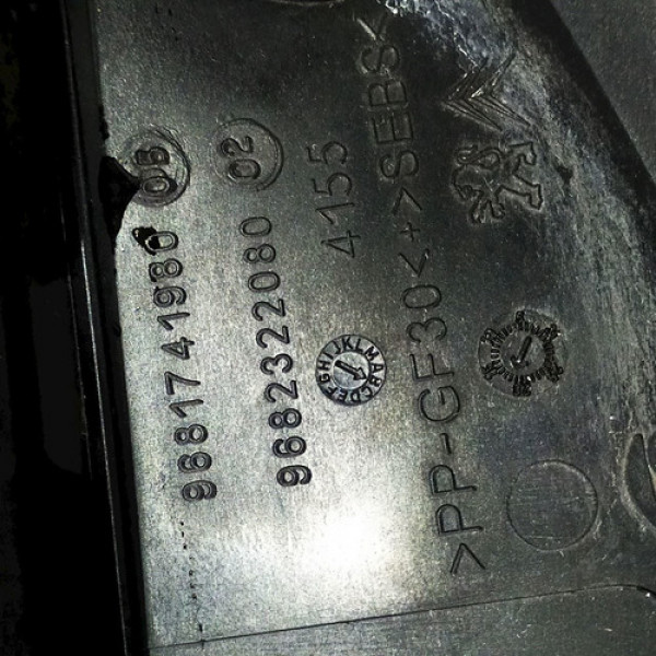 Complemento Inferior Churrasqueira C3 Picasso 2015 81377