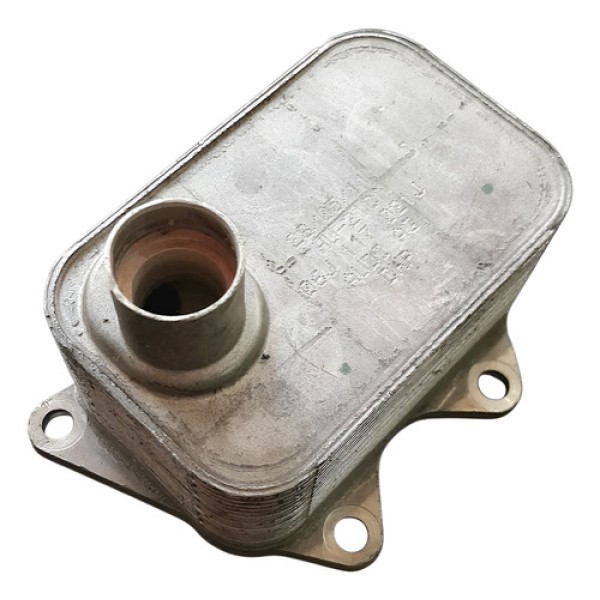 Resfriador Trocador Calor Vw Tiguan 2.0 2012    4402