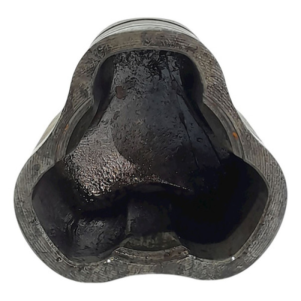 Tulipa Esquerda Câmbio  Toyota Corolla 1.8  2002 201568 Não Informado