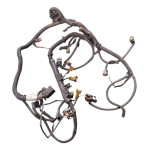 Chicote Injeção Elet...