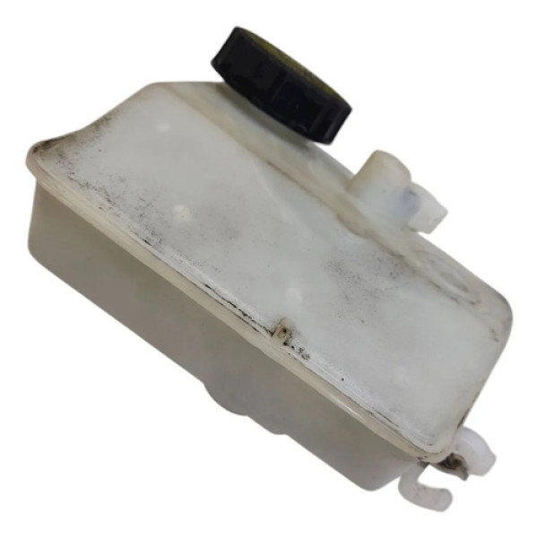 Reservatório Óleo Freio  Peugeot 207 Xr 1.4 2011 206487