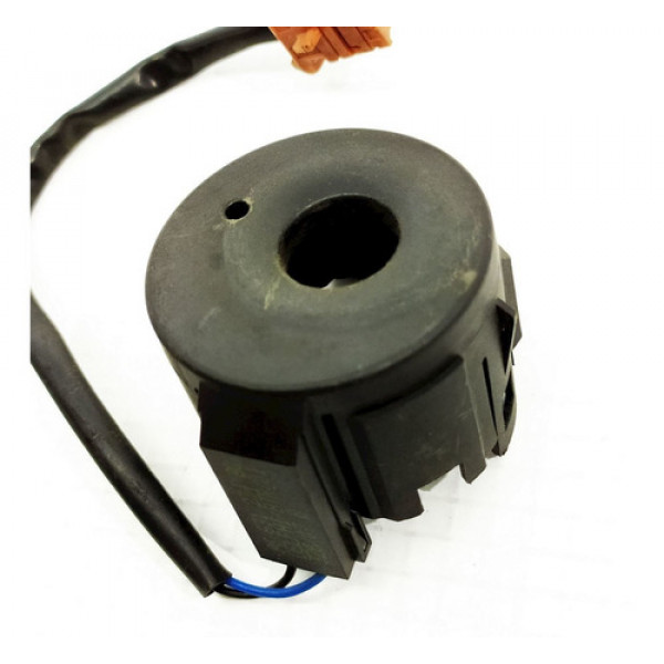 Imobilizador Citroen C3    101286