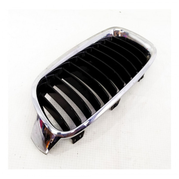 Grade Esquerda Capo Bmw Serie 3 2013    118967 Preto E Cromado Cromado