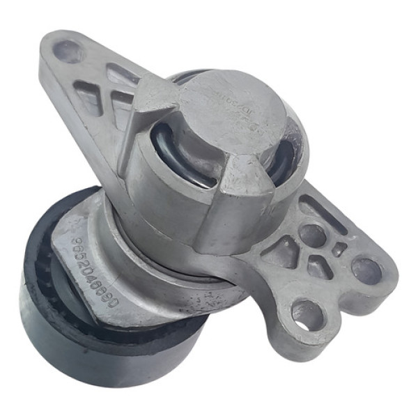 Esticador Correia Acessórios  Peugeot 207 Passion 1.4 2010 1