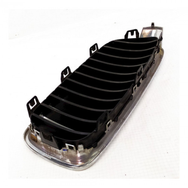 Grade Esquerda Capo Bmw Serie 3 2013    118967 Preto E Cromado Cromado