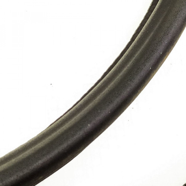 Borracha Porta Traseira Direita Citroën Xantia 2.0 1995 1257