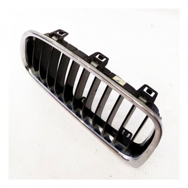 Grade Esquerda Capo Bmw Serie 3 2013    118967 Preto E Cromado Cromado