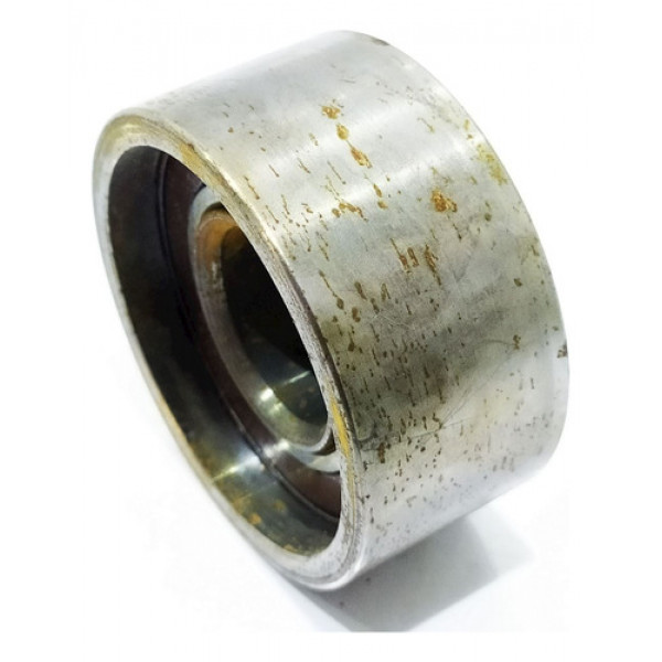Rolamento Polia Auxiliar Correia Dentada Hyundai I30 2.0  20