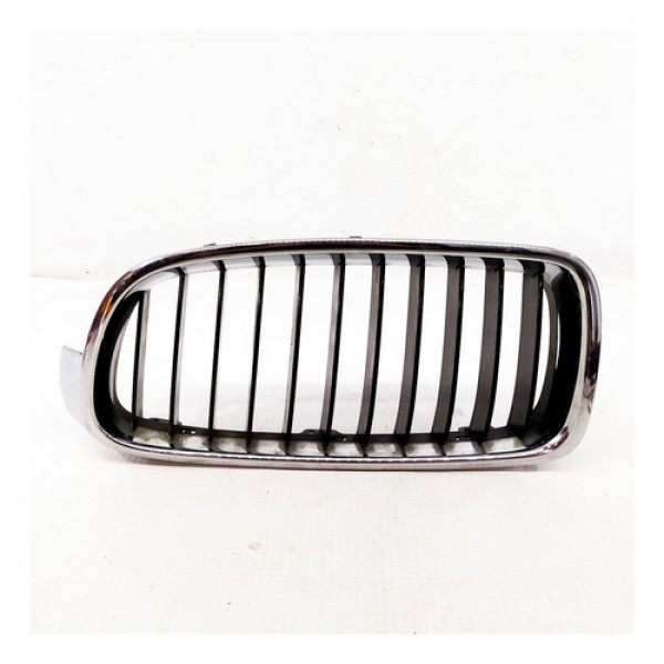 Grade Esquerda Capo Bmw Serie 3 2013    118967