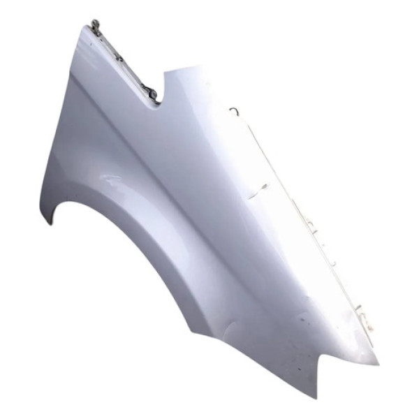 Para Lama Direito Fiat Idea 2009    207291