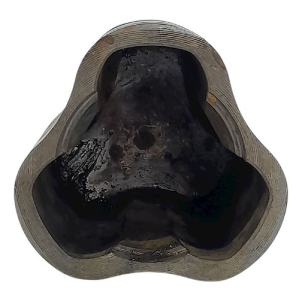 Tulipa Direita Toyota Corolla 1.8  2002 201581 Não Informado