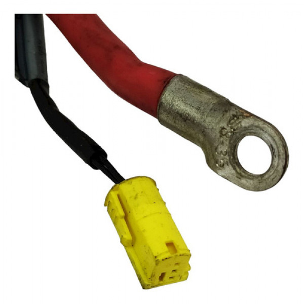 Cabo Polo Positivo  Bmw X5 4.4  2006 164133