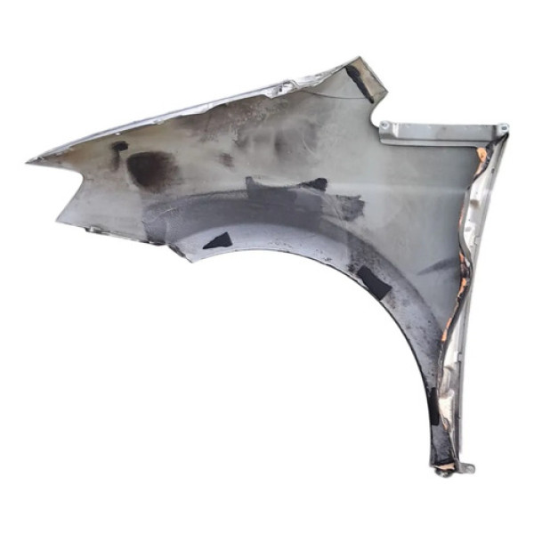 Para Lama Direito Fiat Idea 2009    207291