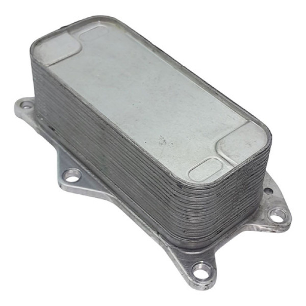 Resfriador Óleo Motor Dodge Journey R/t 2012 202346