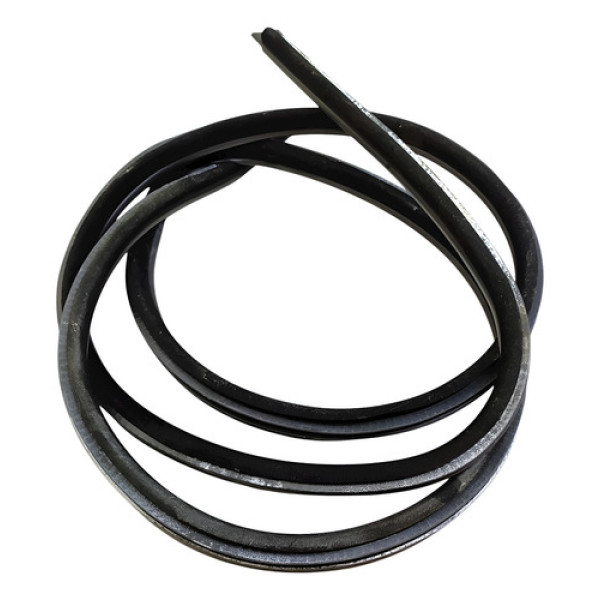 Borracha Porta Dianteira Direita  Bmw 550i 4.8  2009 196413 Não Informado