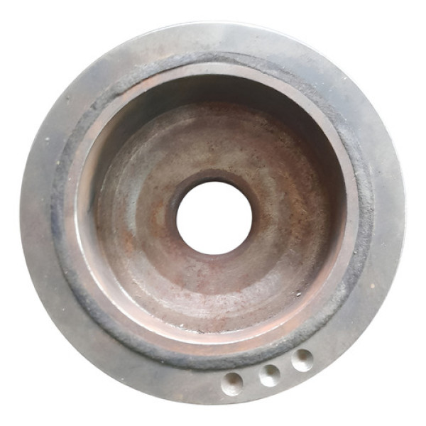 Polia Virabrequim Renault Scenic 2.0 16v 2001    195269