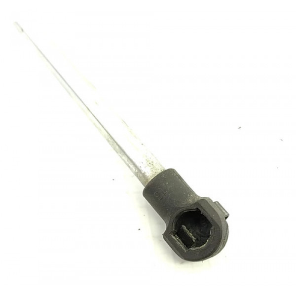 Amortecedor Tampa Traseira Peugeot 207    125925