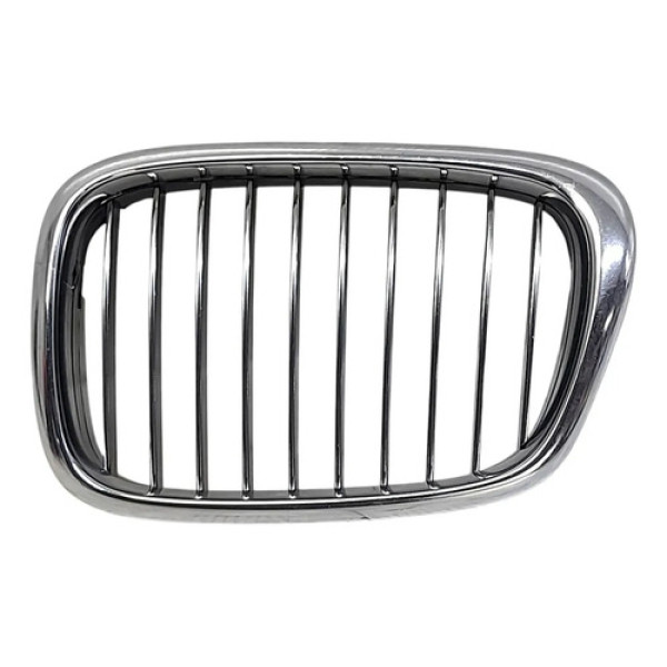 Grade Esquerda Capô  Bmw 540ia Dn81 2002 205725