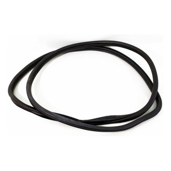 Borracha Porta Dianteira Esquerda Hyundai Hb20 1.0 Hb 2019 1