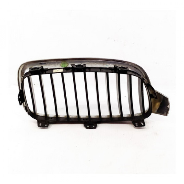 Grade Esquerda Capo Bmw Serie 3 2013    118967 Preto E Cromado Cromado
