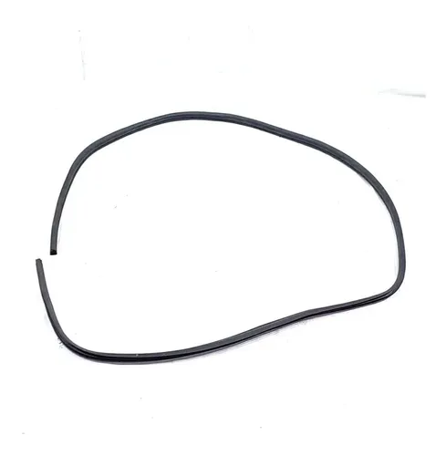 Borracha Porta Dianteira Direita Renault Clio 16v 2008 59185